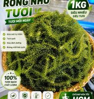 RONG NHO
